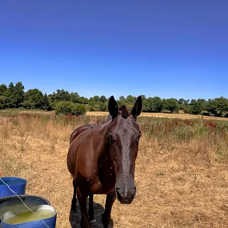 A La Campagne 4-5 Personnes 20 Min Parc Ferienhaus *