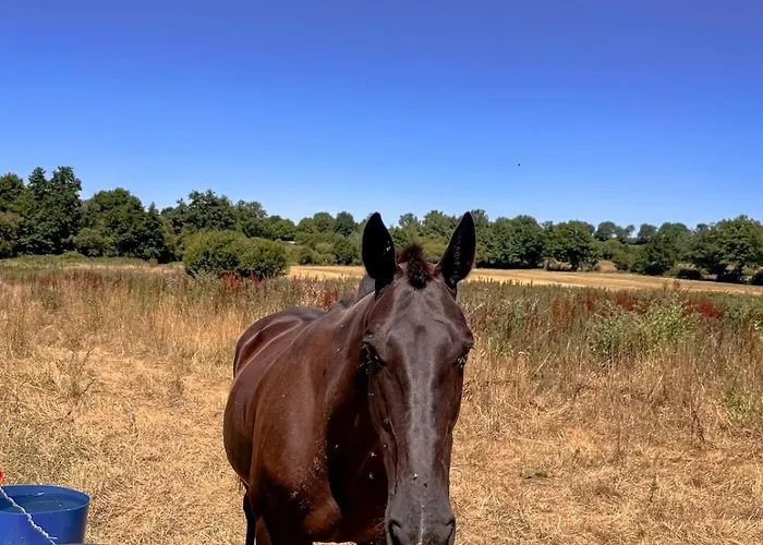 A La Campagne 4-5 Personnes 20 Min Parc Ferienhaus *